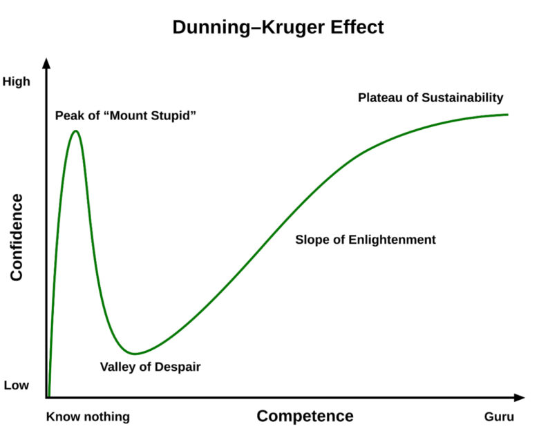 mastering motivation as a key concept